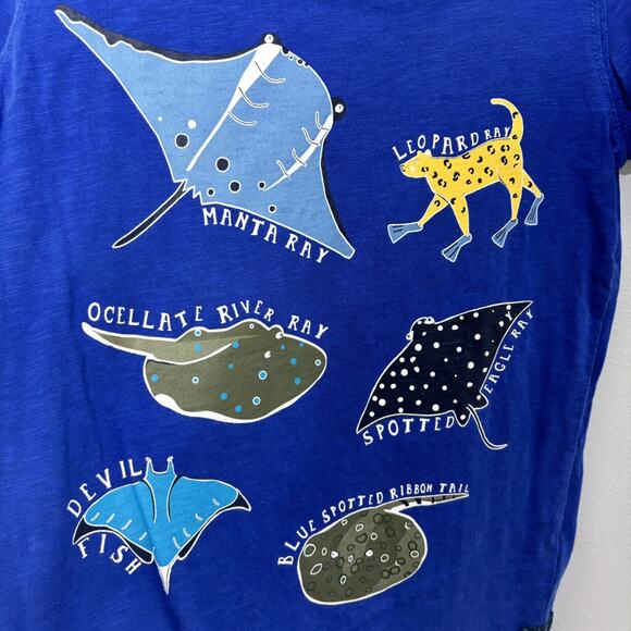 Joules Sea Creature Tee - Picture 2 of 4